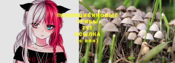 метадон Алзамай